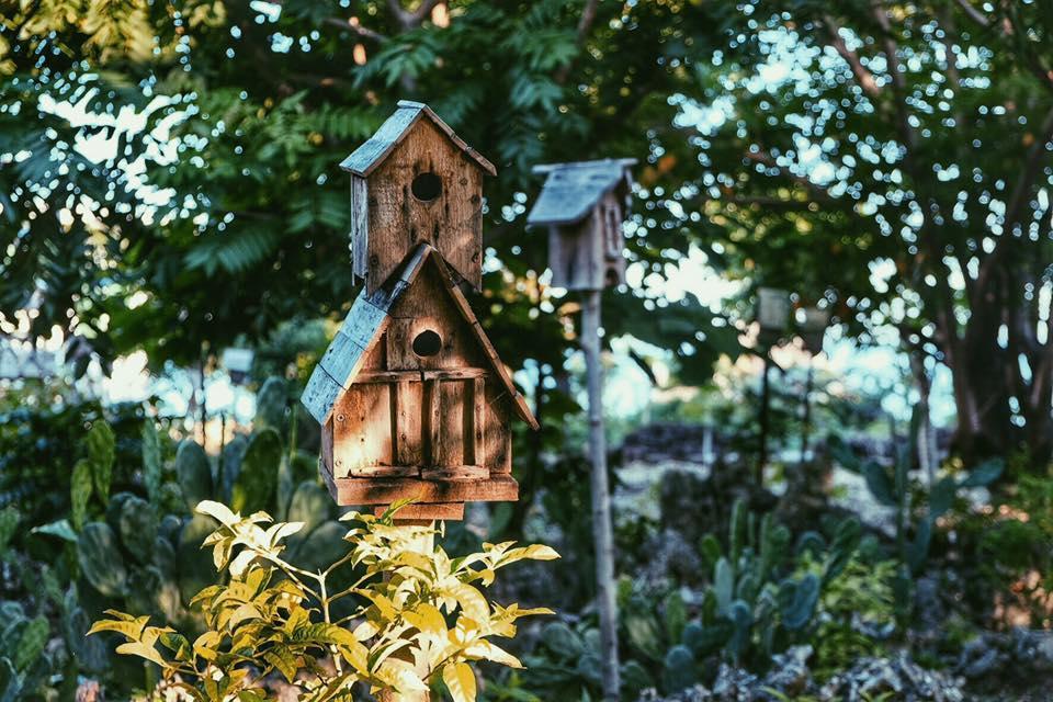 Birdland Beach Club Bolinao Экстерьер фото